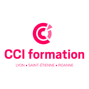 Partenaire de l'agence Web Anthony Vidal - CCI FORMATION