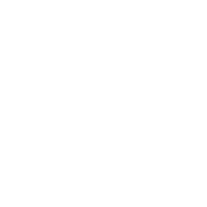 Expert sur CMS open source WordPress, création de site web sur mesure à Lyon sur WordPress