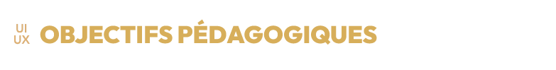 Objectifs pédagogiques UX/UI design et figma à Lyon
